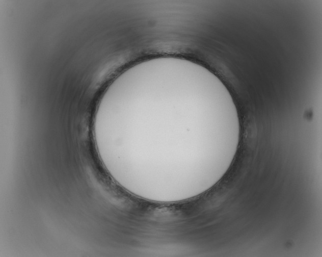 X0000112520635200909071334