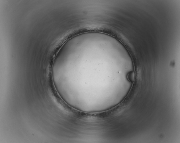 X0000112520637200909071334