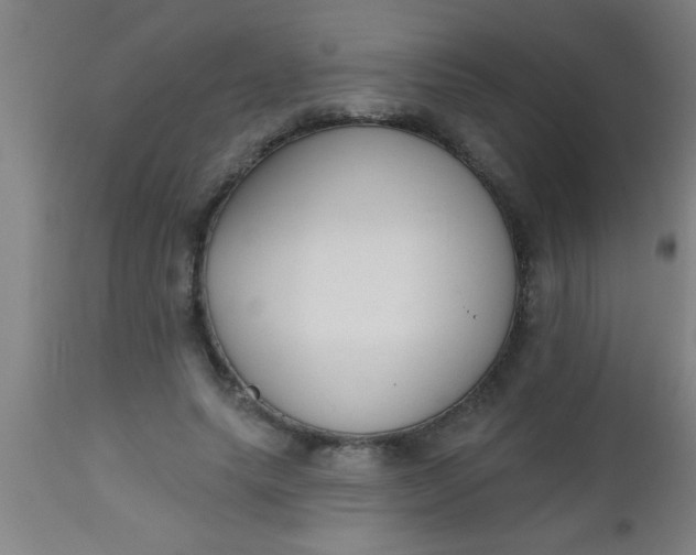 X0000112520639200909071334
