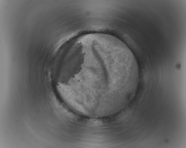 X0000112520640200909071334