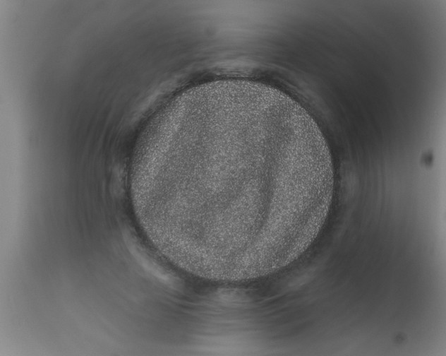 X0000112520641200909071334