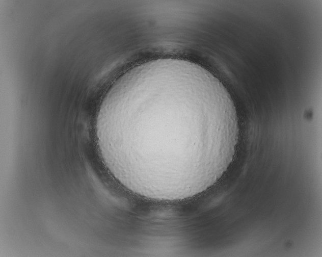 X0000112520643200909071334