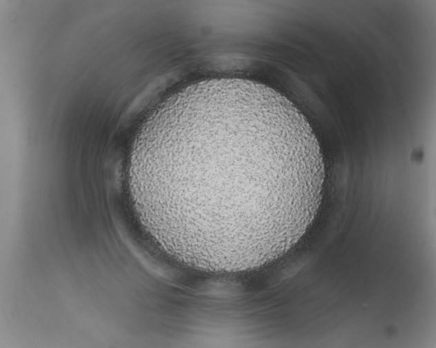 X0000112520644200909071334