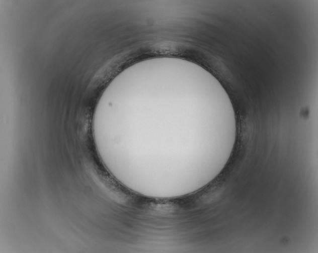 X0000112520645200909071334