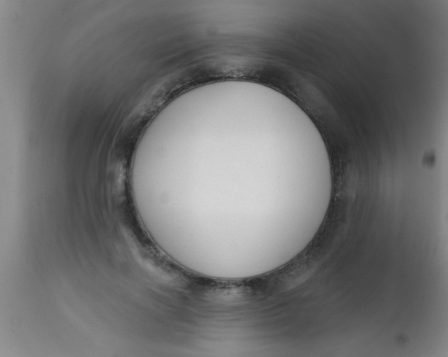 X0000112520646200909071334