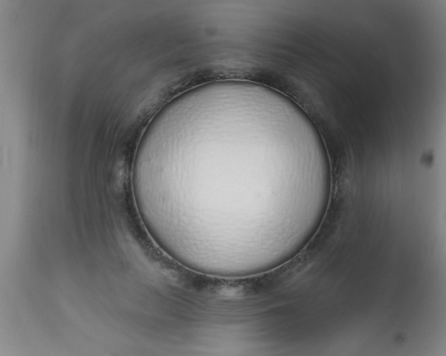 X0000112520647200909071334