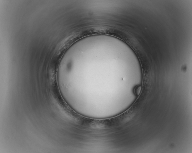 X0000112520648200909071334