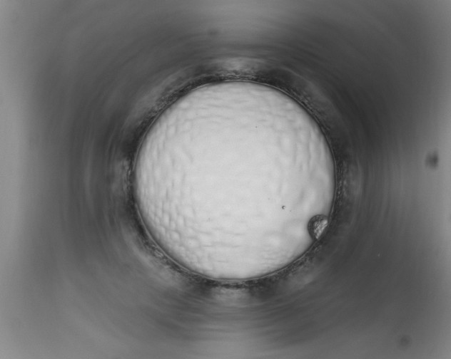 X0000112520649200909071334