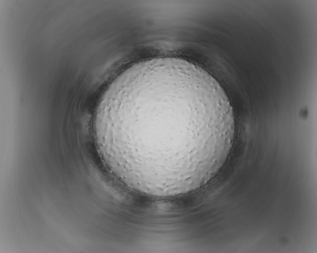 X0000112520650200909071334