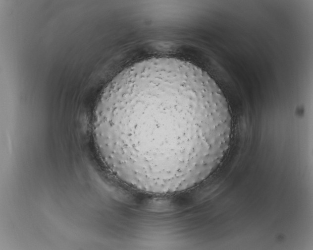 X0000112520651200909071334