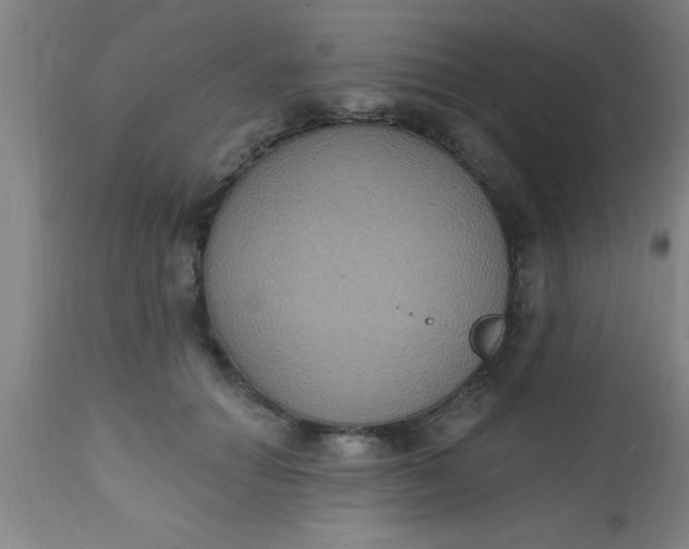 X0000112520654200909071334