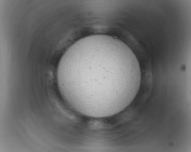 X0000112520655200909071334