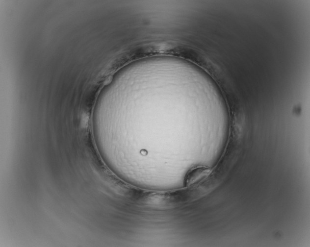 X0000112520657200909071334