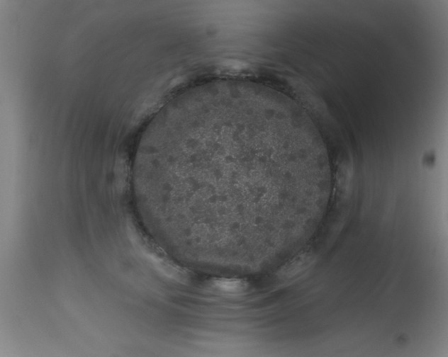 X0000112520659200909071334