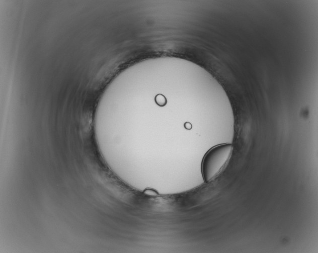 X0000112520660200909071334