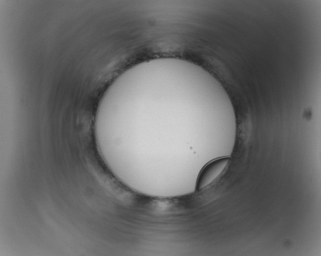 X0000112520662200909071334