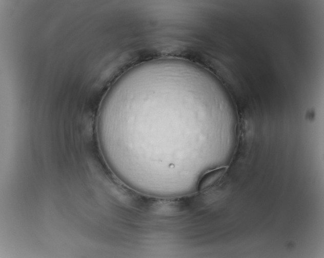 X0000112520664200909071334