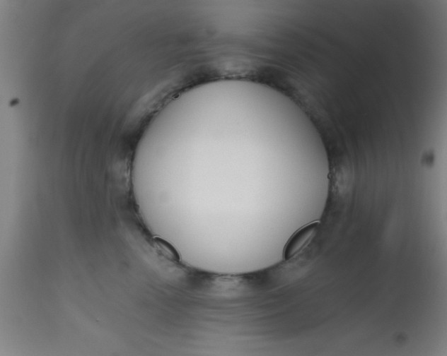 X0000112520666200909071334