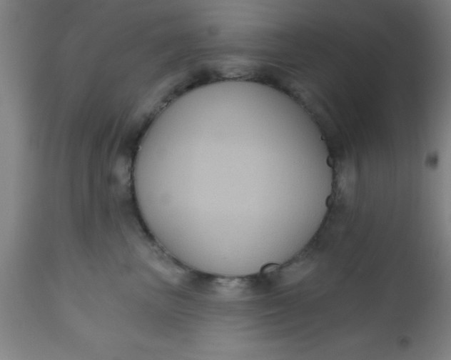 X0000112520667200909071334