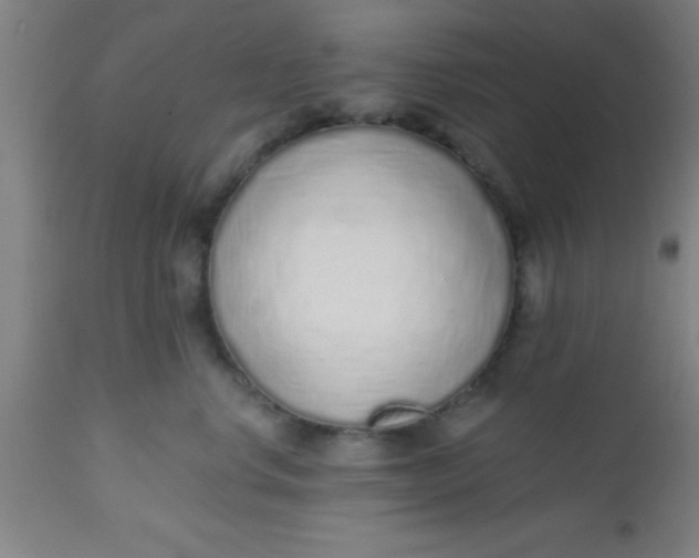 X0000112520668200909071334