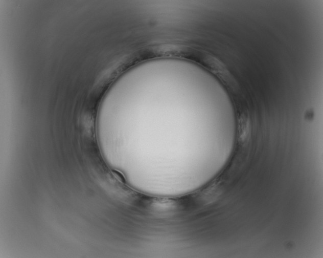 X0000112520669200909071335