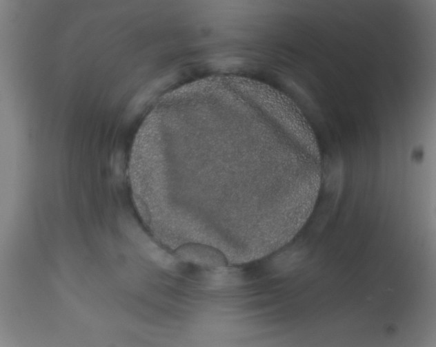 X0000112520670200909071335