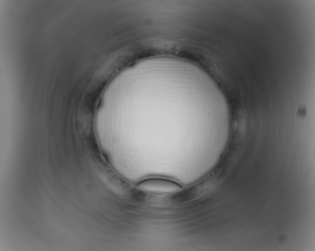 X0000112520671200909071335