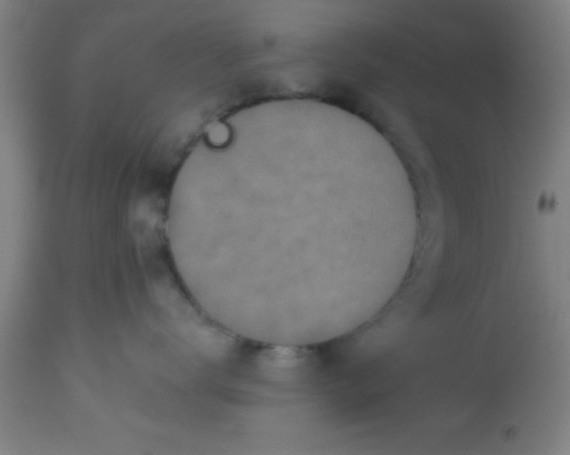 X0000112520672200909071335
