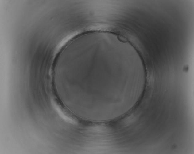 X0000112520674200909071334