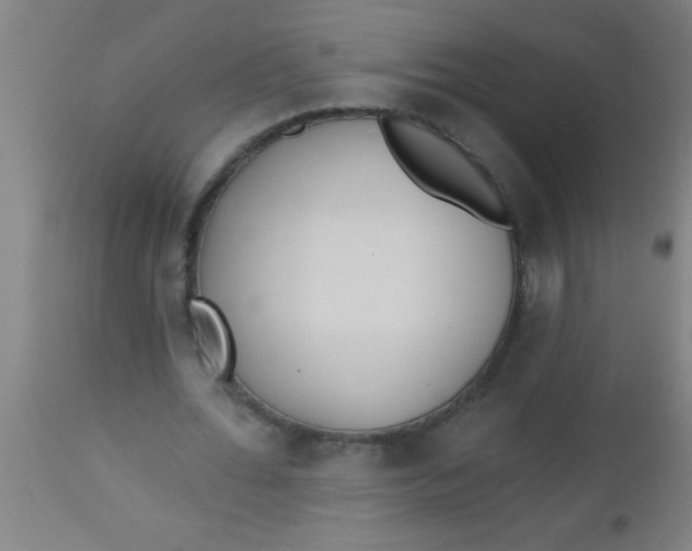 X0000112520676200909071334