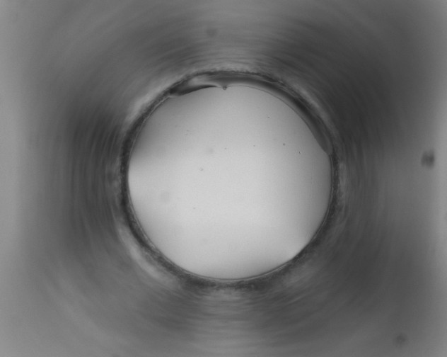 X0000112520677200909071334