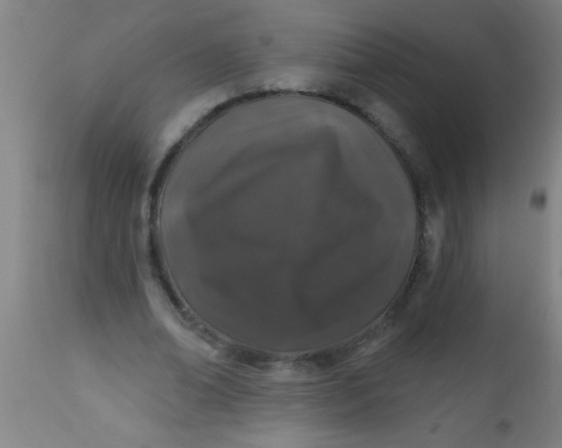 X0000112520678200909071334