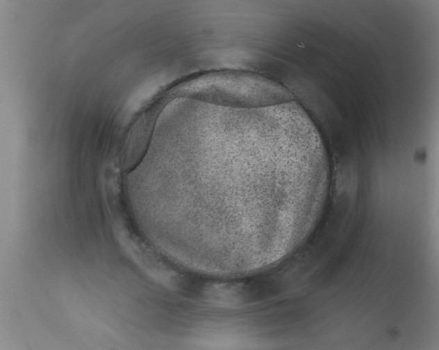 X0000112520680200909071334
