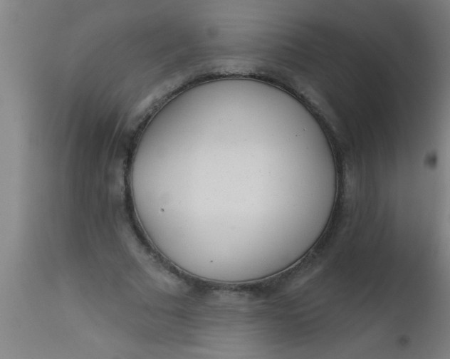 X0000112520681200909071334