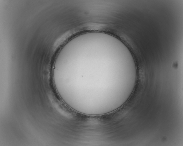 X0000112520682200909071334