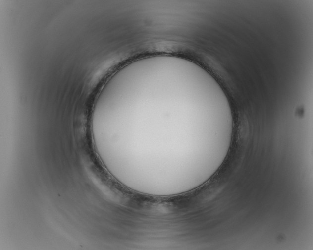 X0000112520683200909071334