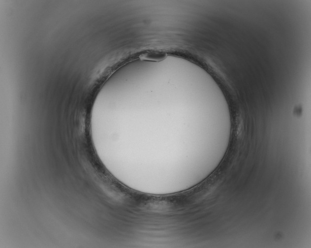X0000112520685200909071334