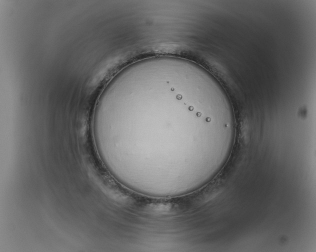 X0000112520687200909071334