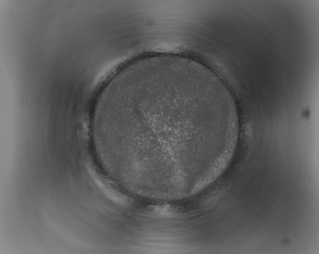 X0000112520688200909071334