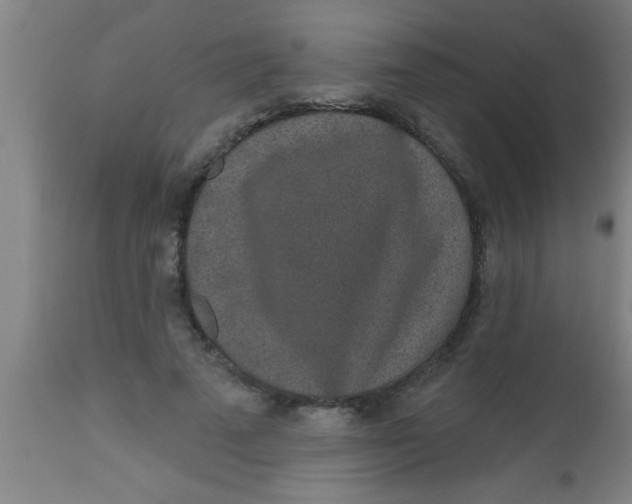X0000112520689200909071334
