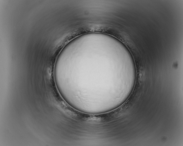 X0000112520691200909071333