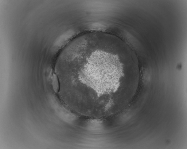 X0000112520692200909071333