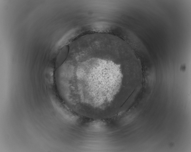 X0000112520696200909071333