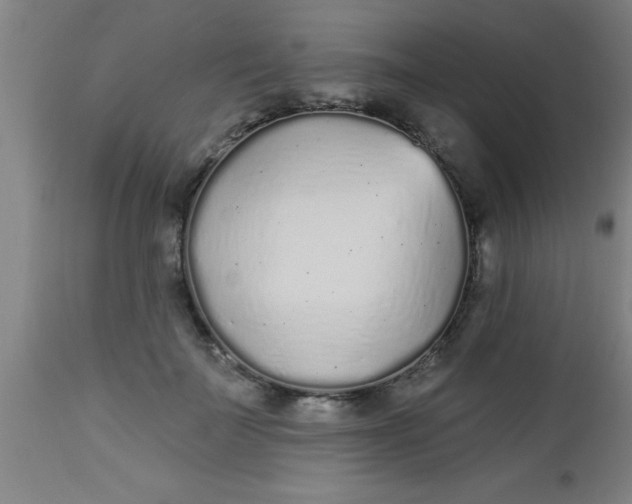 X0000112520699200909071333