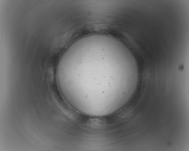 X0000112520703200909071333