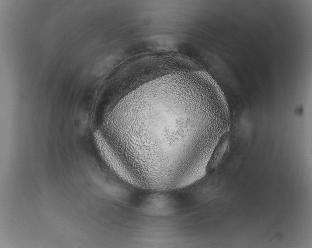 X0000112520704200909071333