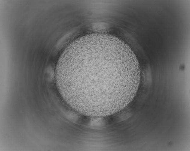 X0000112520705200909071333