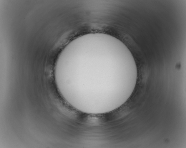 X0000112520706200909071333