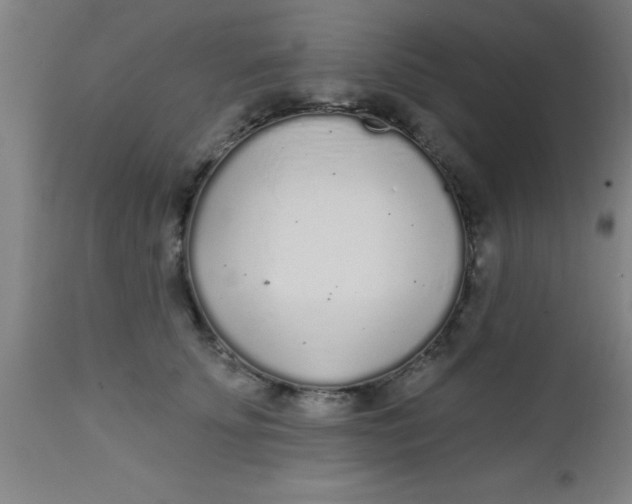 X0000112520707200909071333