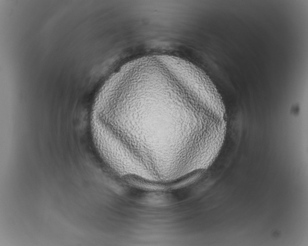X0000112520708200909071333